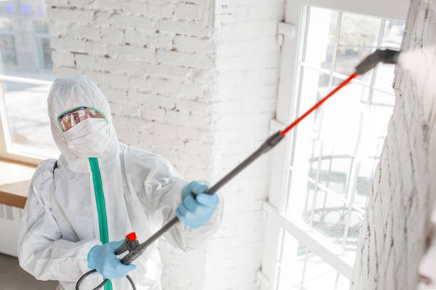 Best Biohazard Mold Removal  in North Industry, OH
